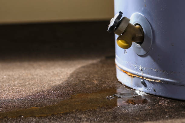 Carpet water damage restoration in Glenwood City, WI