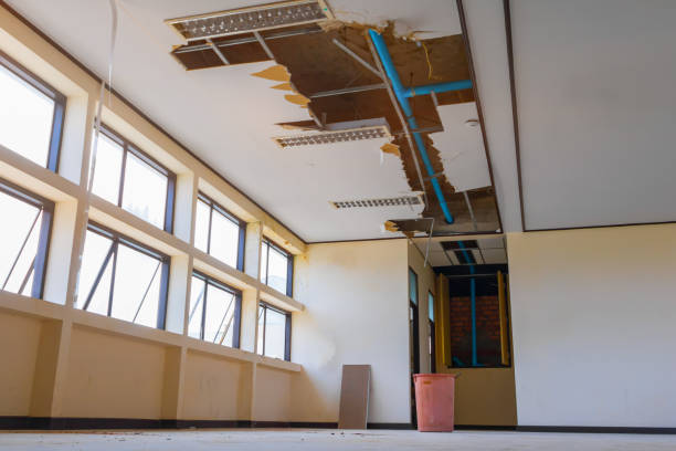 Best Fire Damage Restoration  in Glenwood City, WI