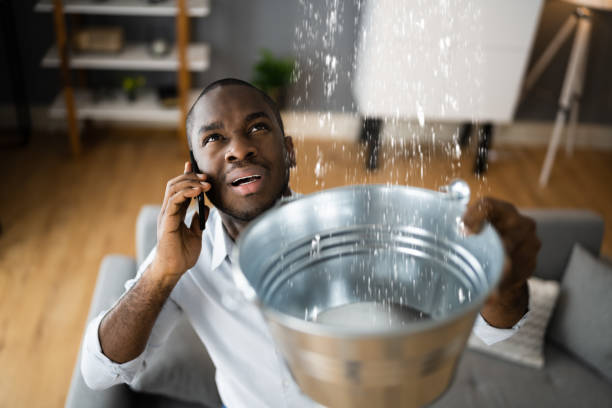 Best Mold removal after water damage  in Glenwood City, WI