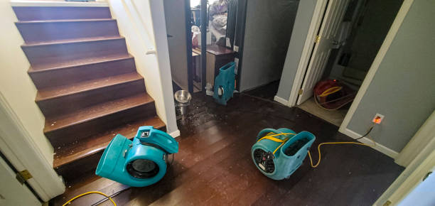 Best Water damage restoration cost  in Glenwood City, WI