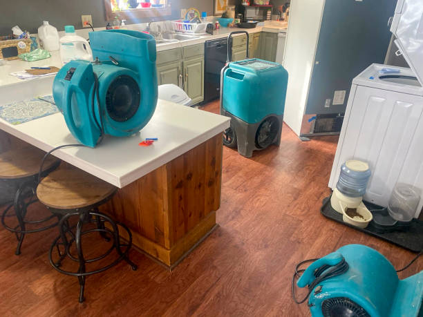 Best Water damage restoration services  in Glenwood City, WI