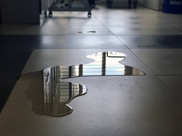 Best Commercial water damage restoration  in Glenwood City, WI