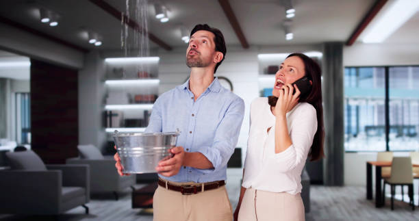 Best Flooded house restoration  in Glenwood City, WI
