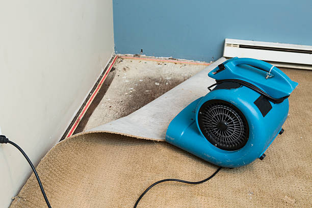 Professional Water damage restoration in Glenwood City, WI